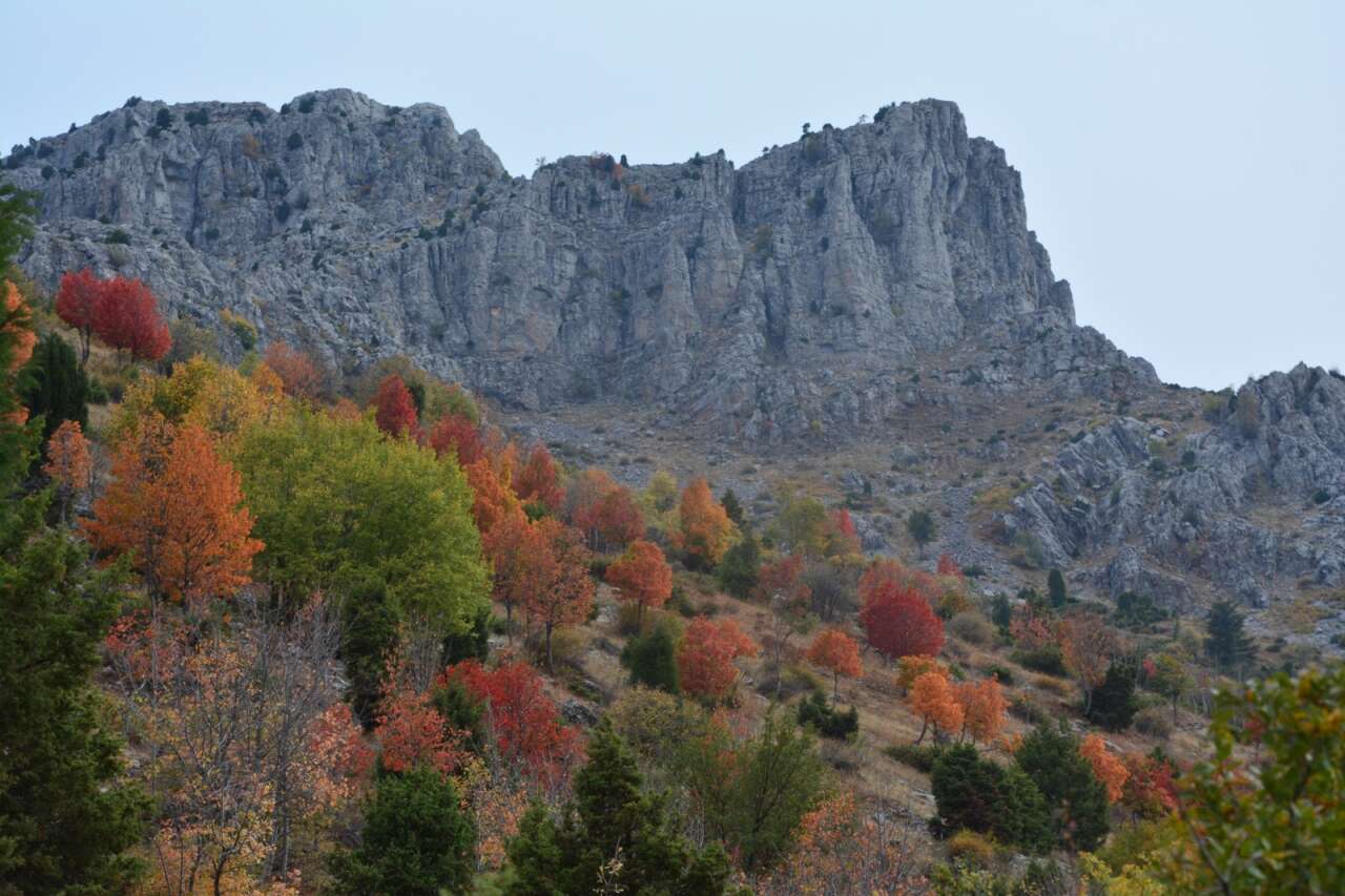 Konya’da doğa renk değiştirdi! Görenleri kendine hayran bırakıyor 8